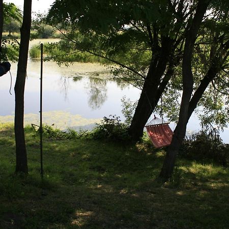 Albinuta Guesthouse Ozun Экстерьер фото